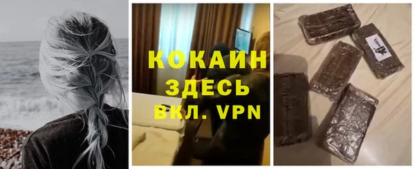 дмт Ладушкин
