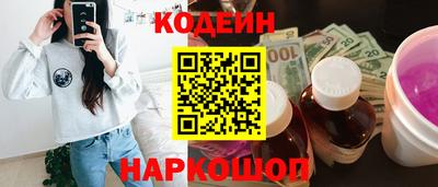индика Кингисепп