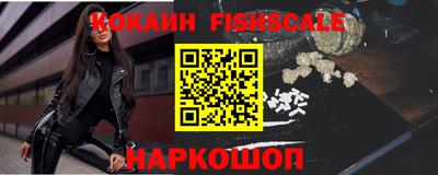 индика Кингисепп