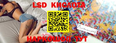 индика Кингисепп