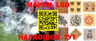 индика Кингисепп