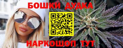 индика Кингисепп