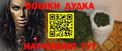 индика Кингисепп