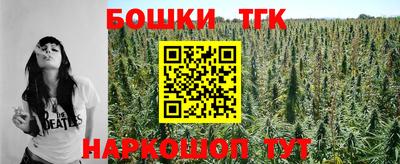 индика Кингисепп