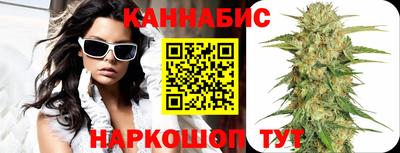 индика Кингисепп