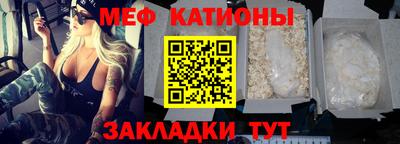 индика Кингисепп