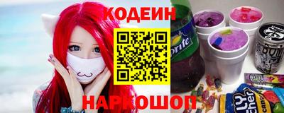 индика Кингисепп
