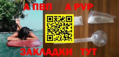 индика Кингисепп