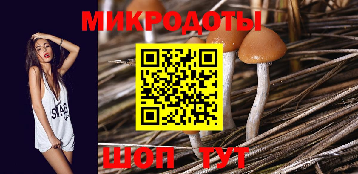 Псилоцибиновые грибы Magic Shrooms  Кувандык 